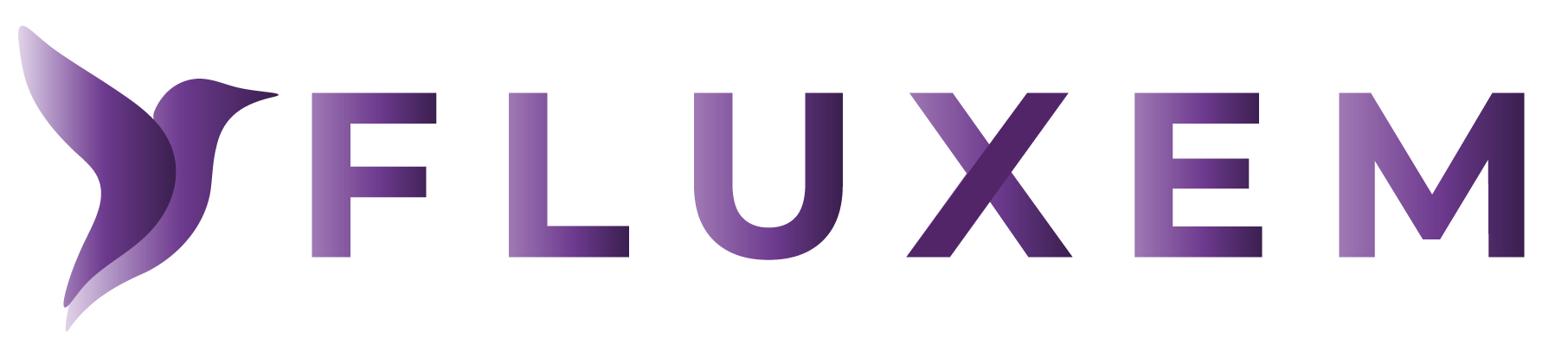 Fluxem